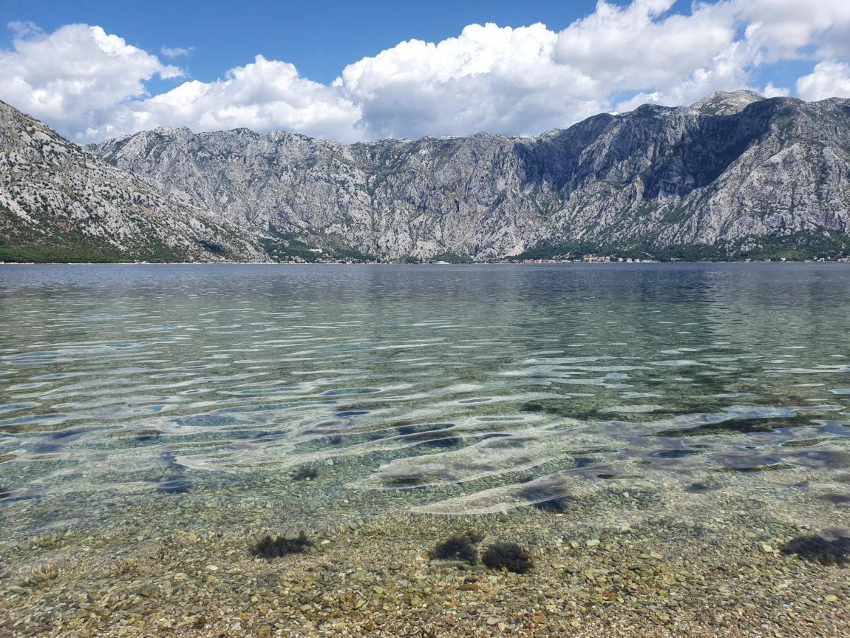 Magnolia Adriatic Apartman Kotor Kültér fotó