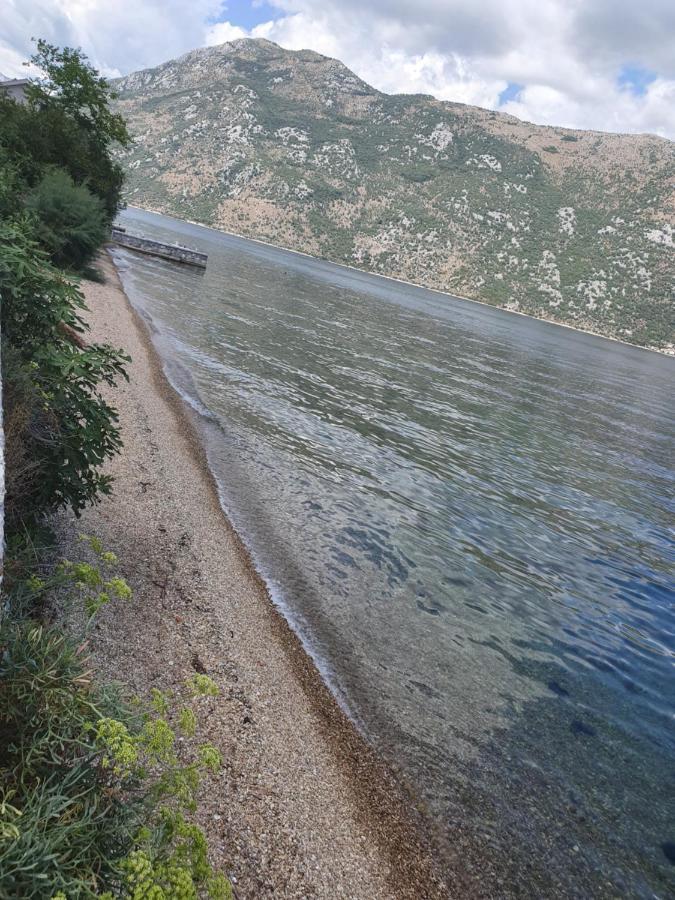 Magnolia Adriatic Apartman Kotor Kültér fotó